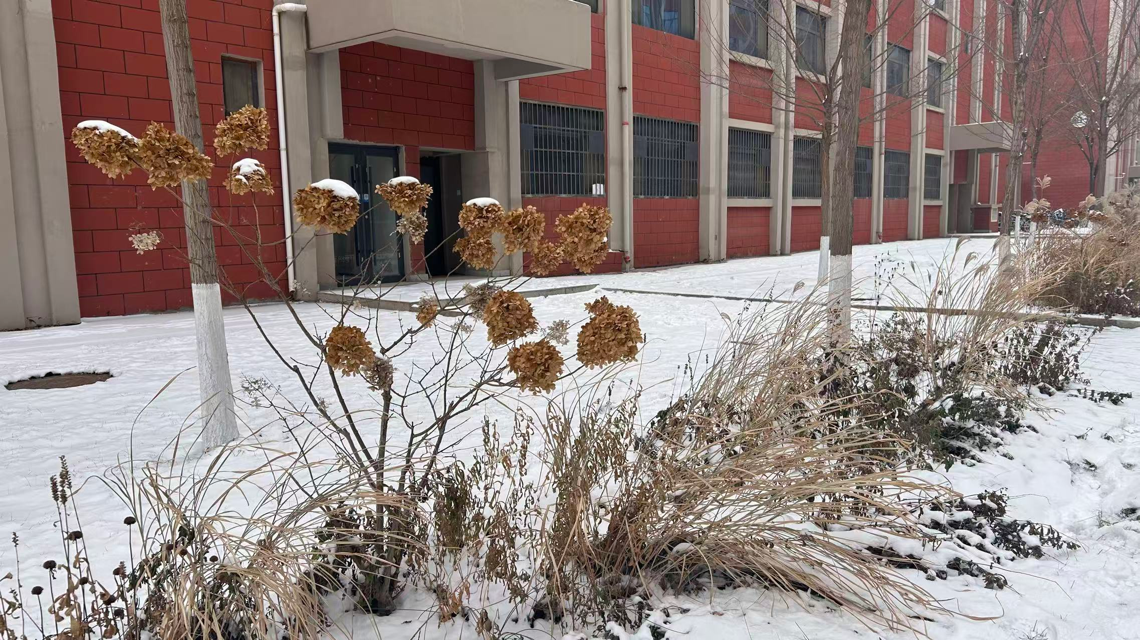 image-20260123221144530